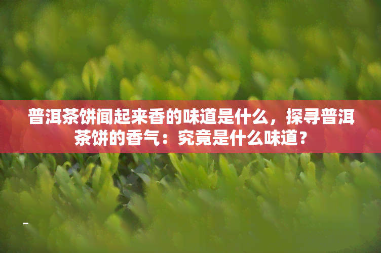 普洱茶饼闻起来香的味道是什么，探寻普洱茶饼的香气：究竟是什么味道？