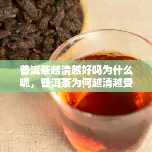 普洱茶越清越好吗为什么呢，普洱茶为何越清越受追捧？