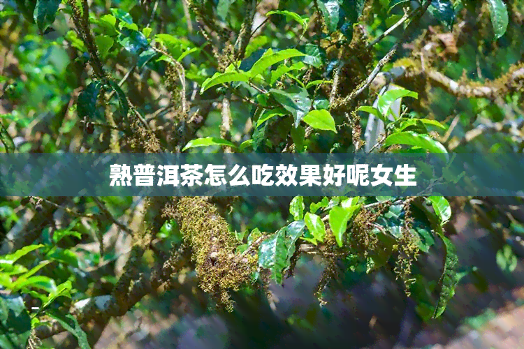 熟普洱茶怎么吃效果好呢女生