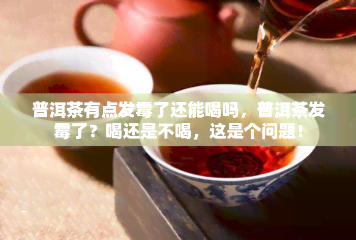 普洱茶有点发霉了还能喝吗，普洱茶发霉了？喝还是不喝，这是个问题！