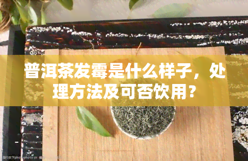 普洱茶发霉是什么样子，处理方法及可否饮用？