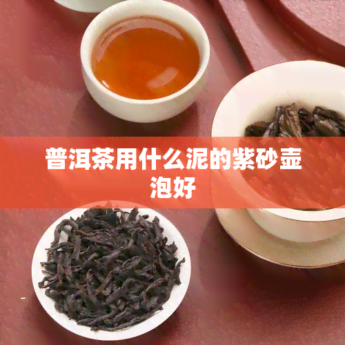 普洱茶用什么泥的紫砂壶泡好