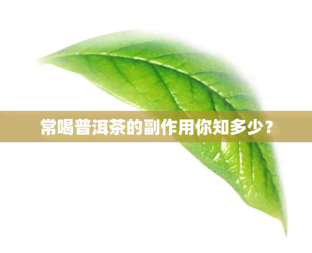 常喝普洱茶的副作用你知多少？