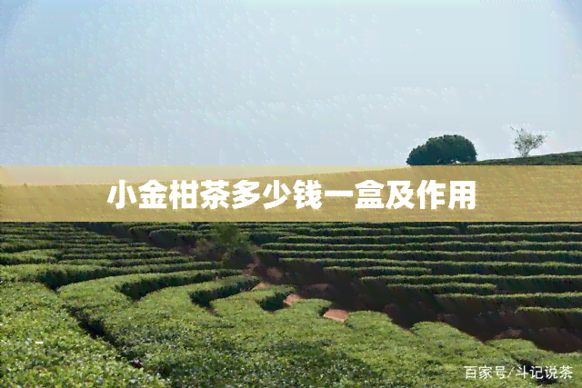 小金柑茶多少钱一盒及作用