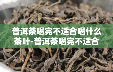 普洱茶喝完不适合喝什么茶叶-普洱茶喝完不适合喝什么茶叶呢