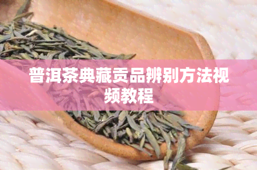 普洱茶典藏贡品辨别方法视频教程