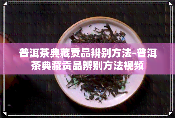 普洱茶典藏贡品辨别方法-普洱茶典藏贡品辨别方法视频