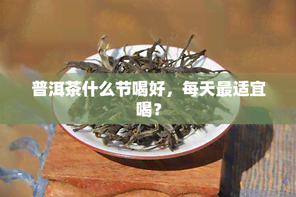 普洱茶什么节喝好，每天最适宜喝？