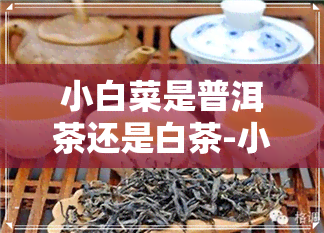 小白菜是普洱茶还是白茶-小白菜是普洱茶还是白茶啊