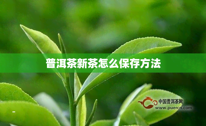 普洱茶新茶怎么保存方法