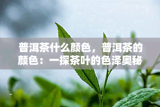 普洱茶什么颜色，普洱茶的颜色：一探茶叶的色泽奥秘