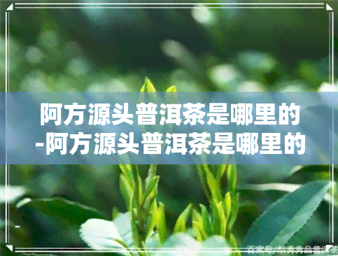 阿方源头普洱茶是哪里的-阿方源头普洱茶是哪里的