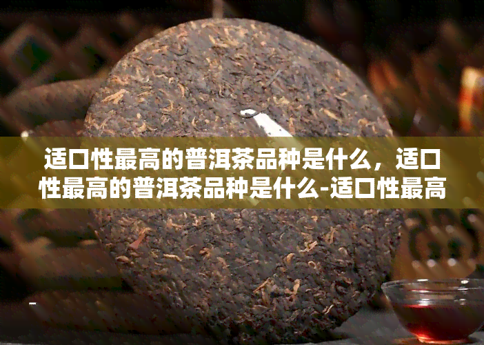 适口性更高的普洱茶品种是什么，适口性更高的普洱茶品种是什么-适口性更高的普洱茶品种是什么茶