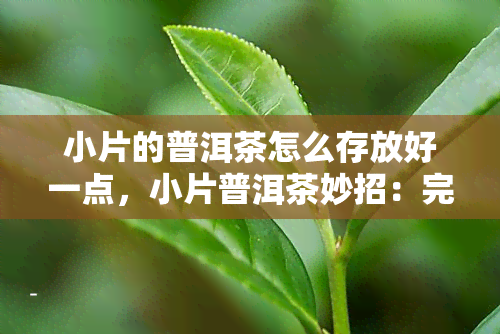 小片的普洱茶怎么存放好一点，小片普洱茶妙招：完美存放技巧大揭秘！