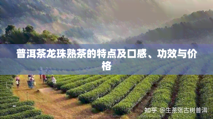 普洱茶龙珠熟茶的特点及口感、功效与价格