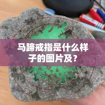 马蹄戒指是什么样子的图片及？