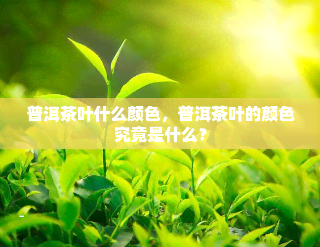 普洱茶叶什么颜色，普洱茶叶的颜色究竟是什么？