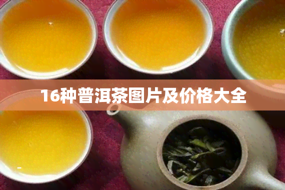 16种普洱茶图片及价格大全