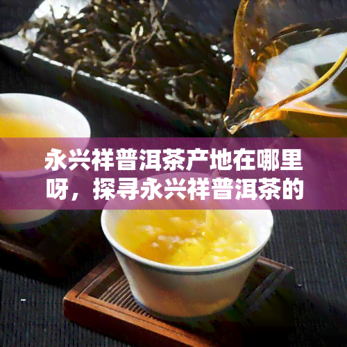 永兴祥普洱茶产地在哪里呀，探寻永兴祥普洱茶的故乡：产地揭秘！