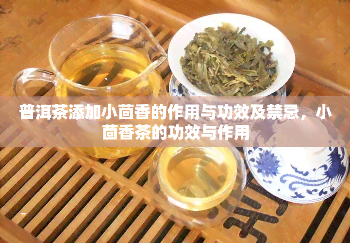 普洱茶添加小茴香的作用与功效及禁忌，小茴香茶的功效与作用