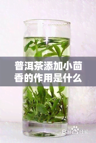 普洱茶添加小茴香的作用是什么？