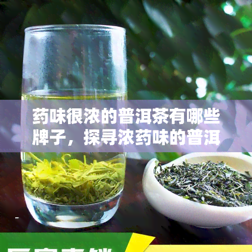 味很浓的普洱茶有哪些牌子，探寻浓味的普洱茶：这些值得一试！