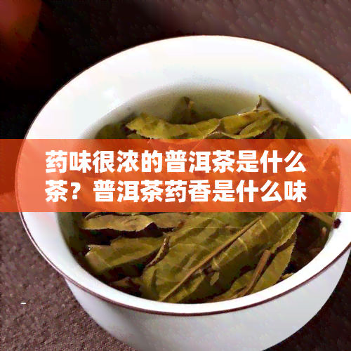 味很浓的普洱茶是什么茶？普洱茶香是什么味道？