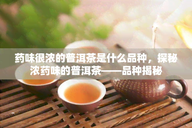 味很浓的普洱茶是什么品种，探秘浓味的普洱茶——品种揭秘