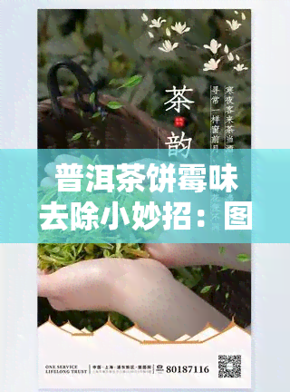 普洱茶饼霉味去除小妙招：图解处理方法