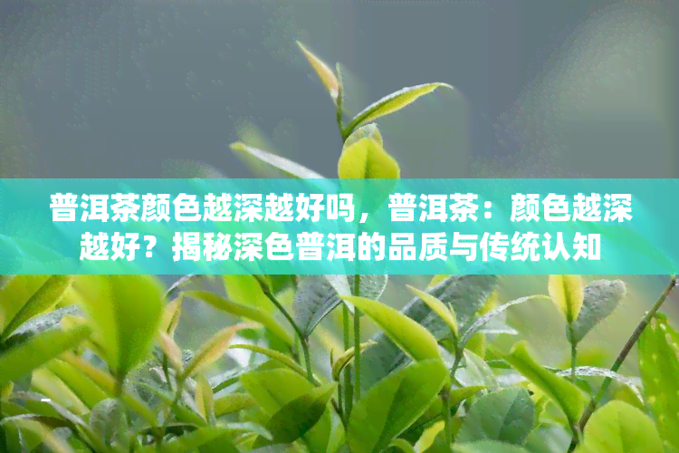 普洱茶颜色越深越好吗，普洱茶：颜色越深越好？揭秘深色普洱的品质与传统认知