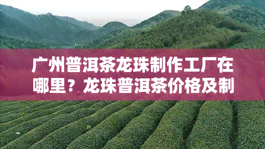 广州普洱茶龙珠制作工厂在哪里？龙珠普洱茶价格及制作工艺