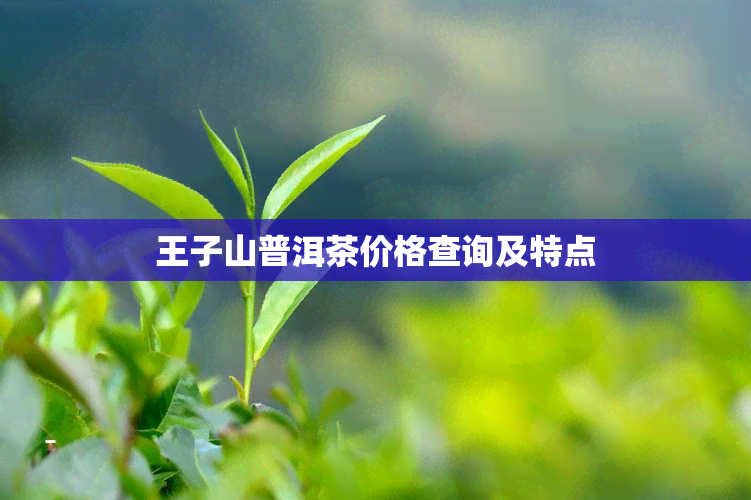 王子山普洱茶价格查询及特点