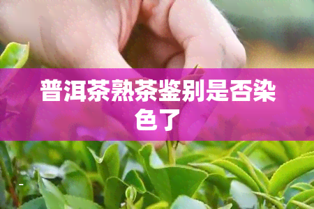 普洱茶熟茶鉴别是否染色了