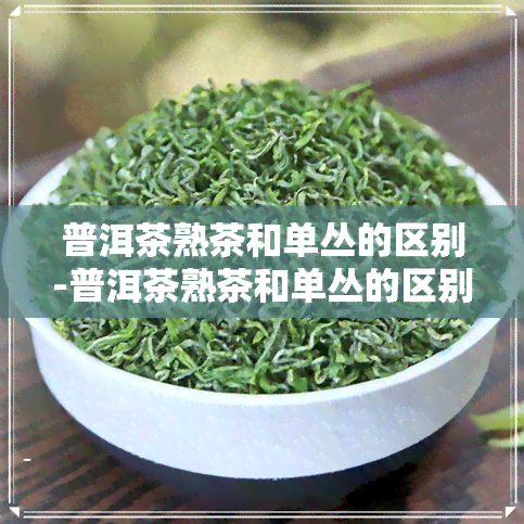 普洱茶熟茶和单丛的区别-普洱茶熟茶和单丛的区别是什么