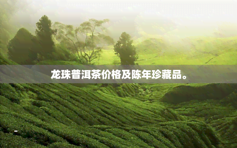 龙珠普洱茶价格及陈年珍藏品。