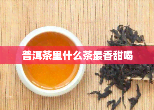 普洱茶里什么茶最香甜喝