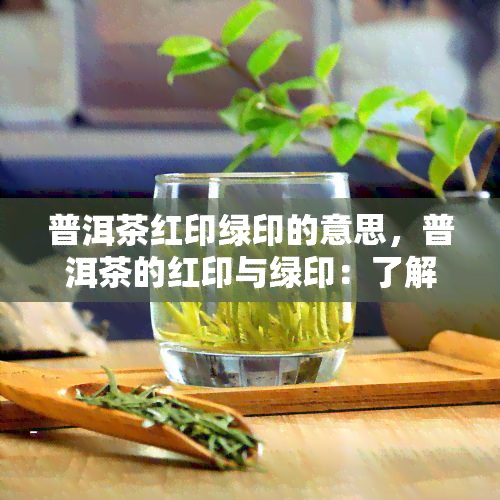 普洱茶红印绿印的意思，普洱茶的红印与绿印：了解背后的含义与区别