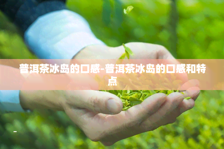 普洱茶冰岛的口感-普洱茶冰岛的口感和特点