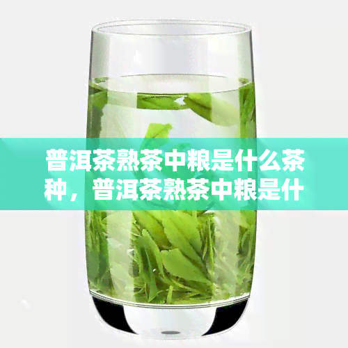 普洱茶熟茶中粮是什么茶种，普洱茶熟茶中粮是什么茶种-普洱茶熟茶中粮是什么茶种啊