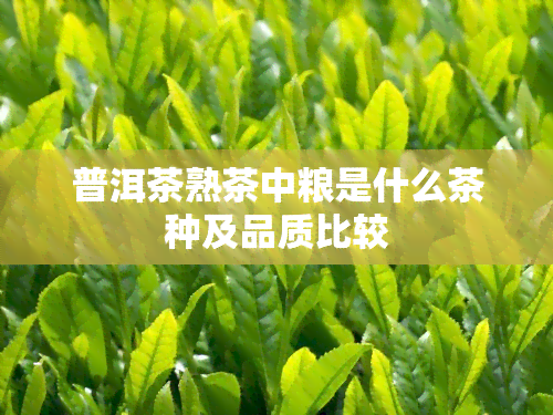 普洱茶熟茶中粮是什么茶种及品质比较