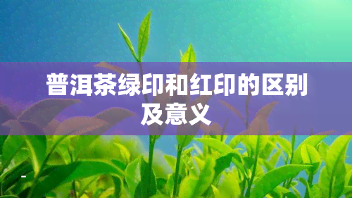 普洱茶绿印和红印的区别及意义