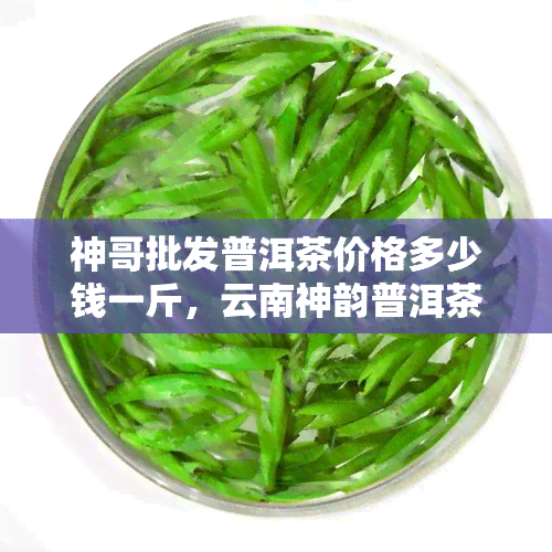 神哥批发普洱茶价格多少钱一斤，云南神韵普洱茶饼价格