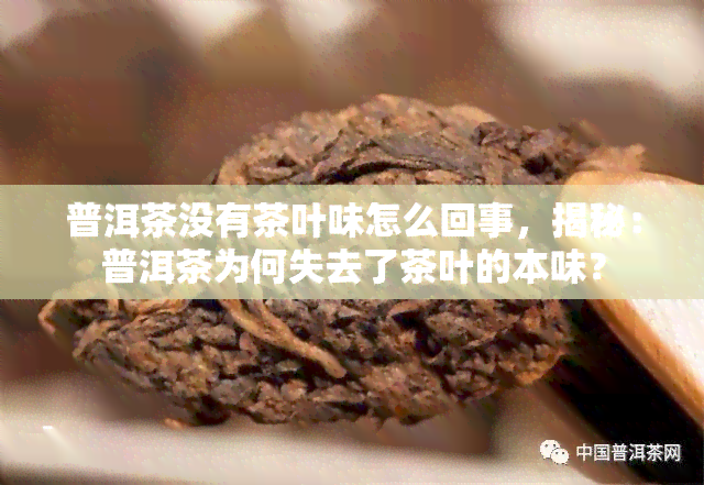 普洱茶没有茶叶味怎么回事，揭秘：普洱茶为何失去了茶叶的本味？