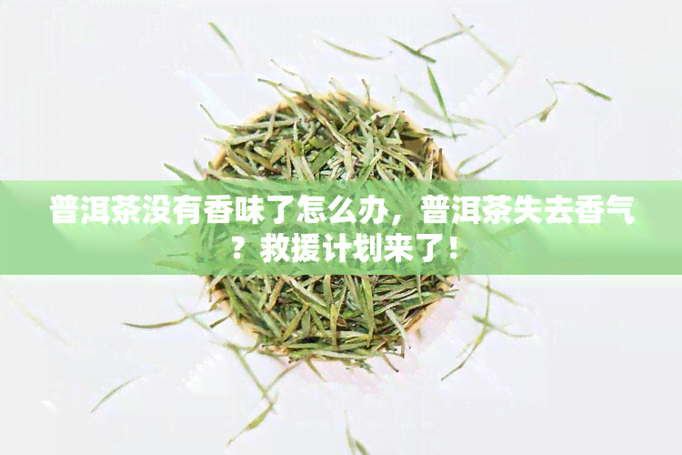 普洱茶没有香味了怎么办，普洱茶失去香气？救援计划来了！