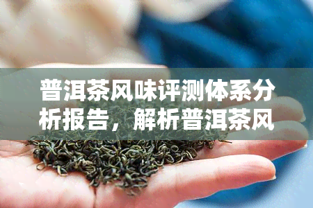 普洱茶风味评测体系分析报告，解析普洱茶风味评测体系：全面报告