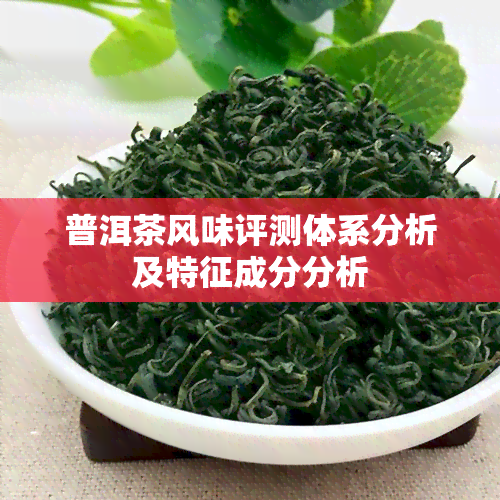 普洱茶风味评测体系分析及特征成分分析