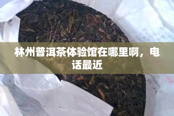 林州普洱茶体验馆在哪里啊，电话最近