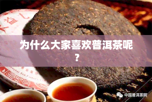 为什么大家喜欢普洱茶呢？