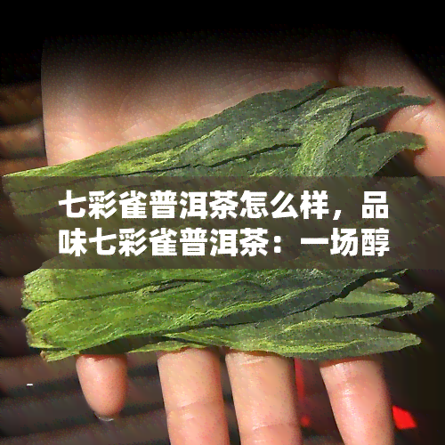 七彩雀普洱茶怎么样，品味七彩雀普洱茶：一场醇香之旅