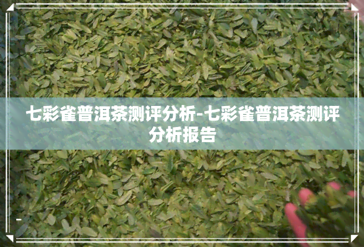 七彩雀普洱茶测评分析-七彩雀普洱茶测评分析报告